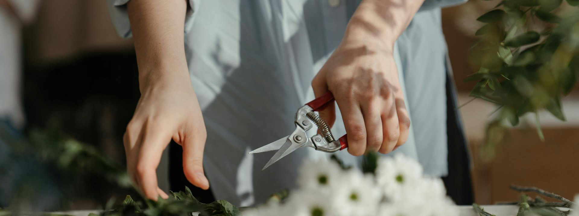 Buitentuinwinkel -Buitentuinwinkel pexels cottonbro 4268553